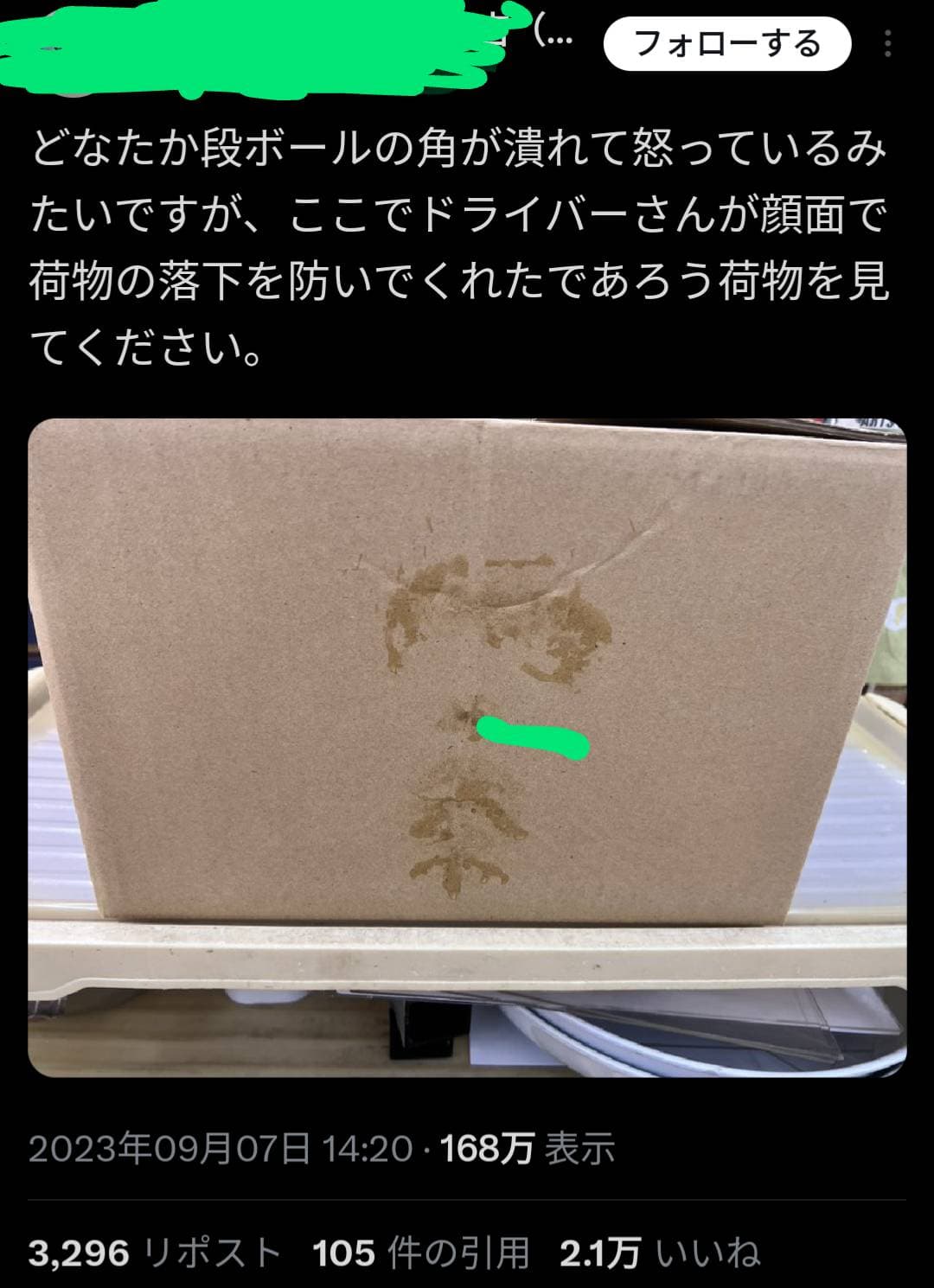 投稿画像