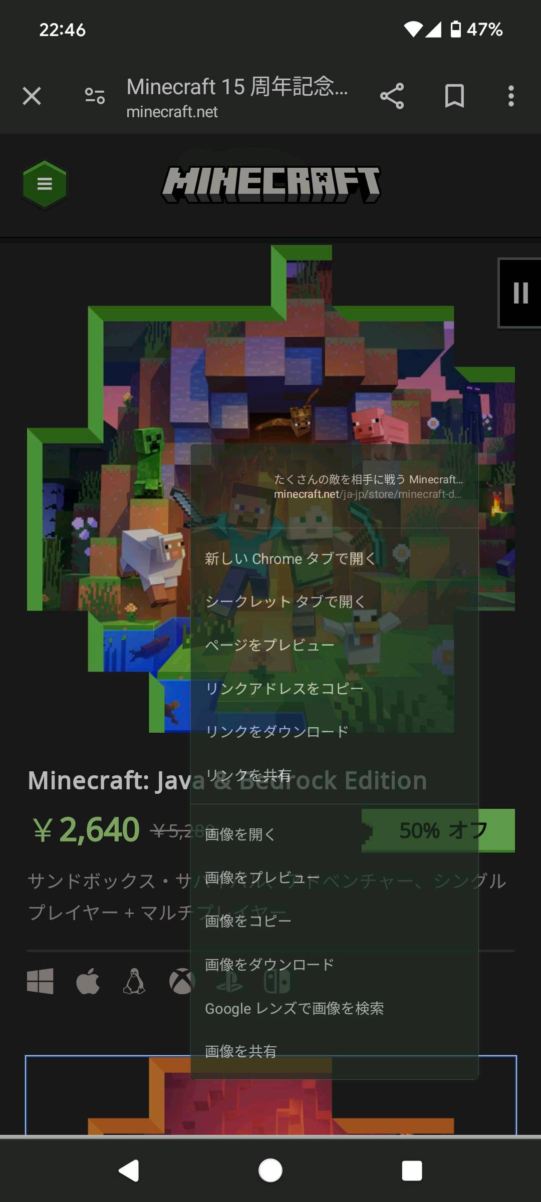 投稿画像