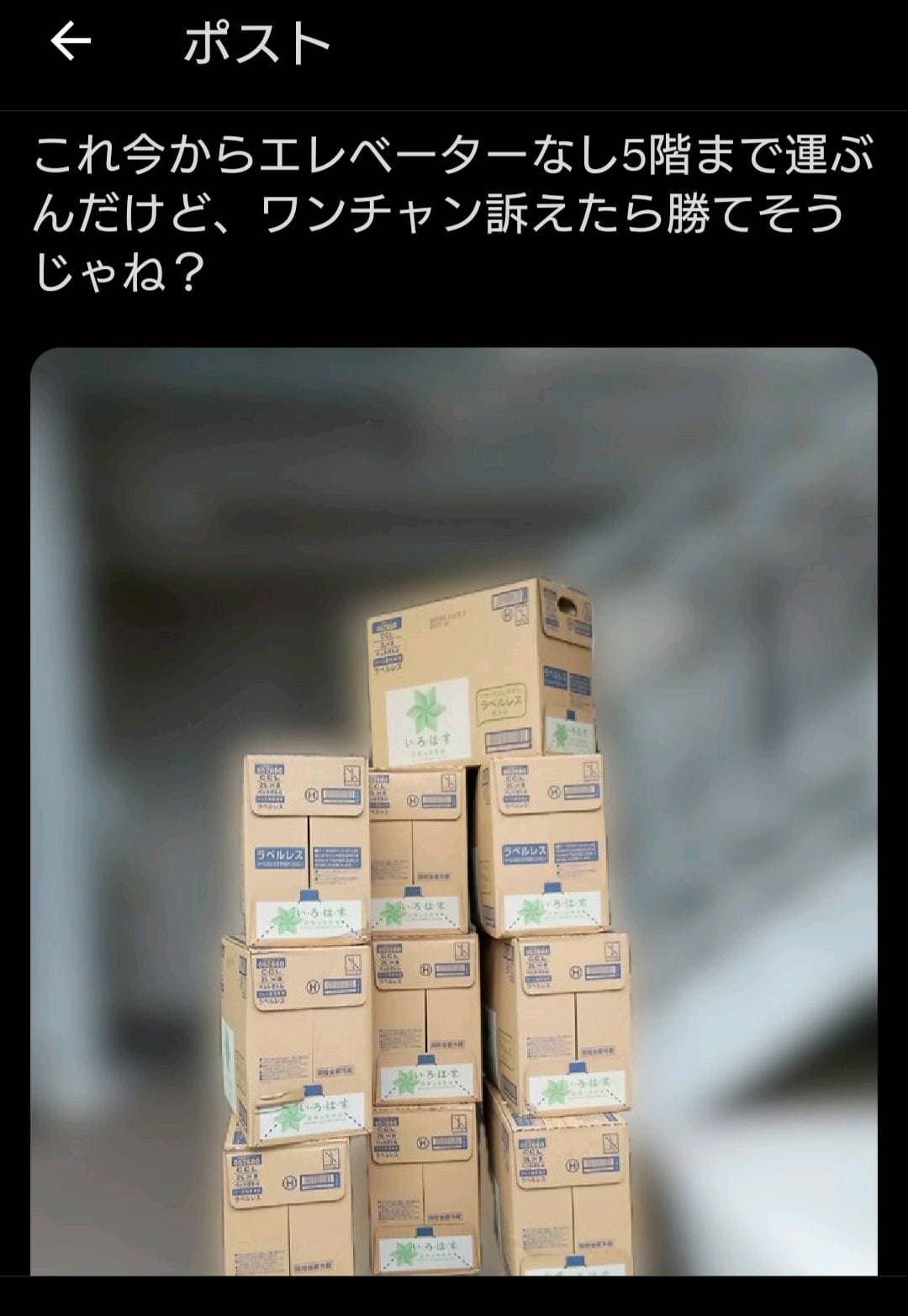投稿画像